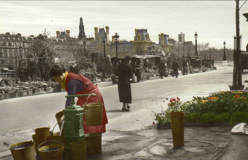 Le marché aux fleurs quai de la Corse