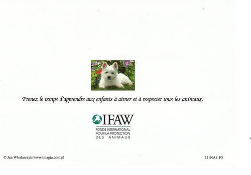 IFAW verso